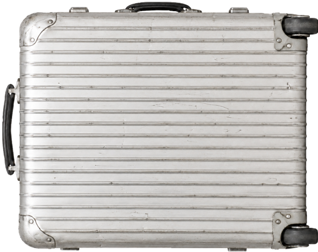 Raven Suitcase